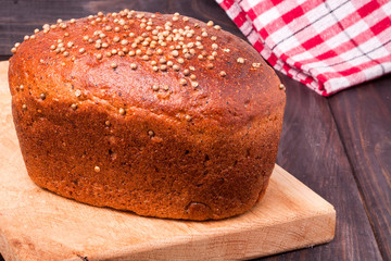 Black bread with fresh coriander closeup