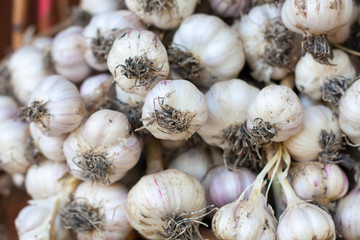 Fresh garlic
