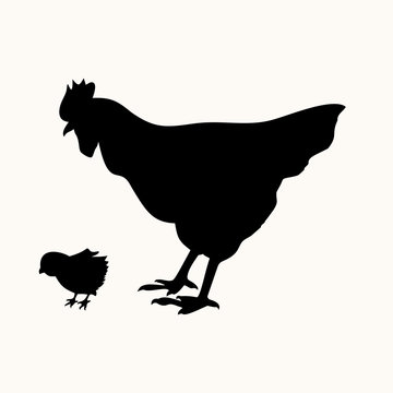 cock and chick