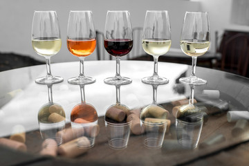 Set of six different wines in wineglasses on the table for degustation