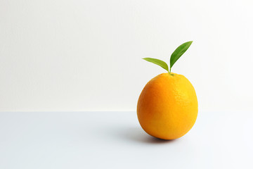 Fresh orange fruit on the table with white background