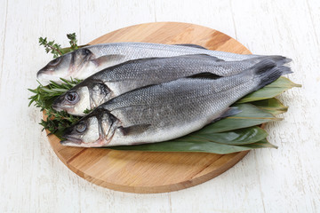 Seabass