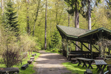 wiosna w arboretum © Janusz Lipiński