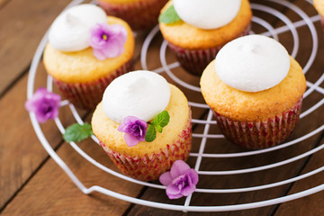 Cottage cheese cupcakes with meringue decorated flower and mint leaves