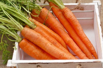 Carrot in the wooden box