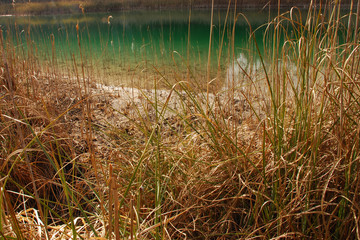 Uferbereich am Brunnensee