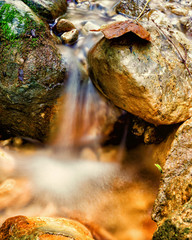 blurred water (8) and autumn leaf