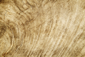 wood texture