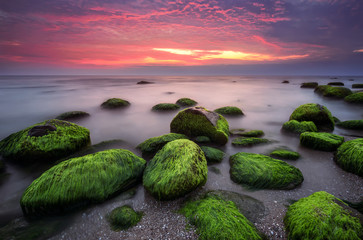 Green morning.
Rocky beach seascape at sunrise.