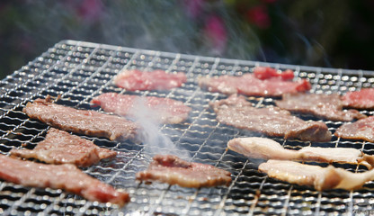 バーベキューと焼肉