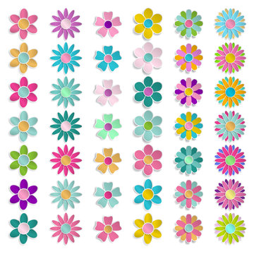 Set of multicolored paper flowers
