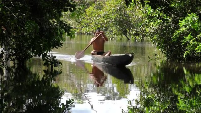 Indigenous adult man expertly navigating the vast Amazonian jungle in a traditional wooden canoe,showcasing his deep connection to nature.