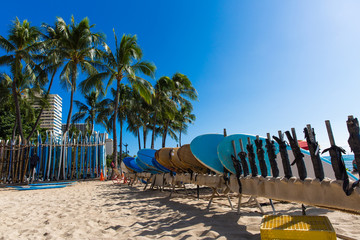 Board Park on Waikiki Beach, O'ahu, Hawaii