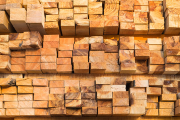 Stack of pile wood.