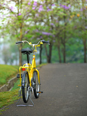 Fototapeta na wymiar bicycle in the garden road