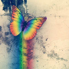 Naklejka na ściany i meble rainbow butterfly