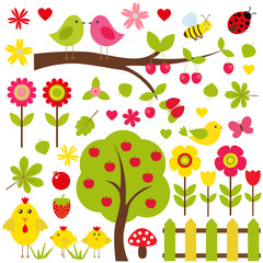 Vector set of nature. Birds sitting on a tree, among other birds, flowers, mushrooms, insects.