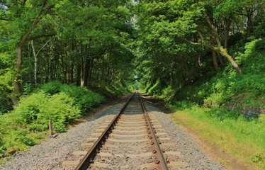 A Railway Track in a rural setting.