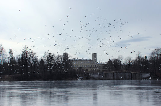 Gatchina Palace and the White Lake in the spring, in March 2016.