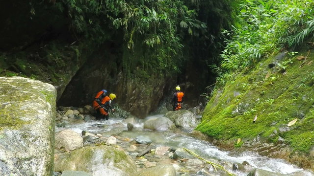 A group of adventurers in safety gear navigate a shallow rocky stream in dense moss-covered jungle, moving together through the water on a family canyoning trip in Llanganates park, Ecuador.
