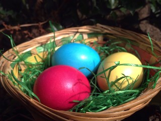 Basket with three eggs for Easter egg hunt