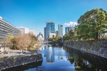Naklejka premium 江戸城とオフィスビル群の風景