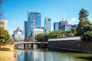 Fototapeta premium 江戸城とオフィスビル群の風景