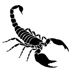 Silhouette noire de scorpion sur fond blanc - obrazy, fototapety, plakaty