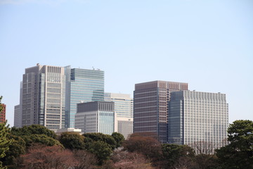 Fototapeta na wymiar 皇居東御苑から見た丸の内の高層ビル