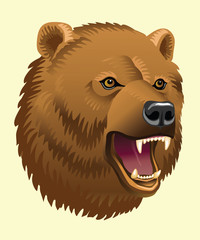 Vector illustration of head of bear
