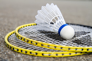 Badminton Federball Schl&auml;ger