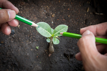 Abstract photo of world, tree and nature conservation idea.