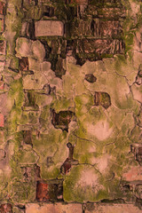 Old mossy brick wall