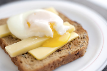 Poached egg on toast