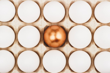 Chicken eggs in the tray