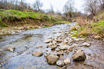 Part of dry river in the woods during spring