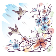 Humming-birds and tropical flowers on sky background
