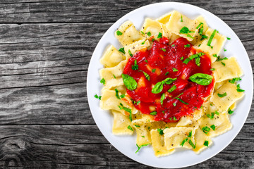 Italian ravioli with tomato sauce and basil leaves