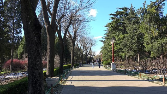 Walkway in Jingshan Park at winter. Beijing