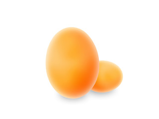 egg on a white background