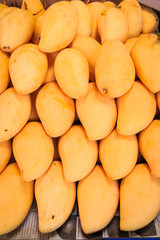 fresh mango on sale at market