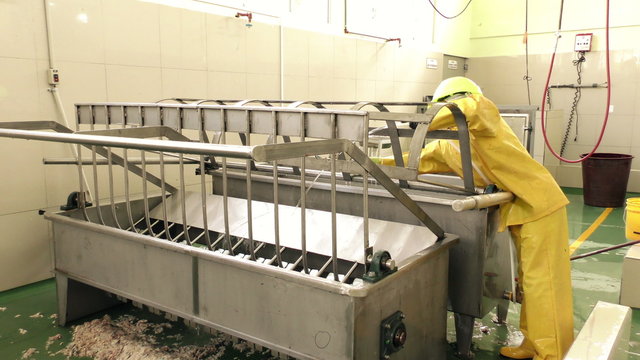 A worker in full protective gear diligently cleans a scalding tub within the premises of a slaughterhouse,ensuring utmost hygiene and safety.