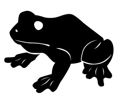 Illustration noire d'une grenouille sur fond blanc