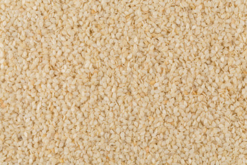 Closeup of lots of sesame seeds