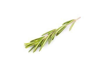 Naklejka premium rosemary isolated on white background