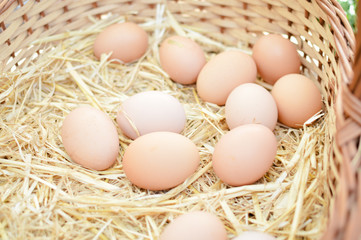 Basket with eggs on market