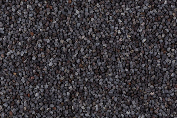 Poppy seeds background