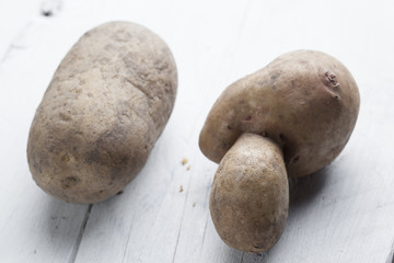 organic and non-organic potato isolated on white backround