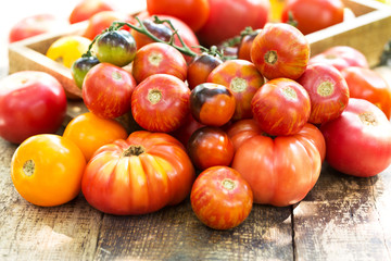 various tomatoes