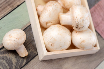 Champignons